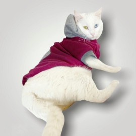 Burgundy Gray Kapşonlu Sweatshirt  Kedi Kıyafeti 