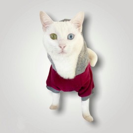 Burgundy Gray Kapşonlu Sweatshirt  Kedi Kıyafeti 