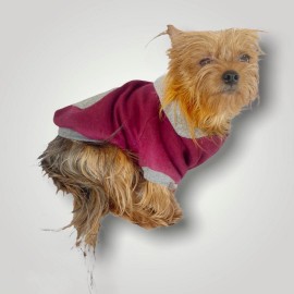 Burgundy Gray Kapşonlu Sweatshirt Köpek Kıyafeti 