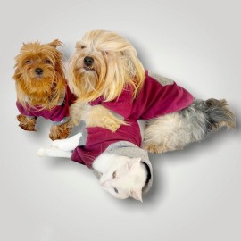 Burgundy Gray Kapşonlu Sweatshirt Köpek Kıyafeti 