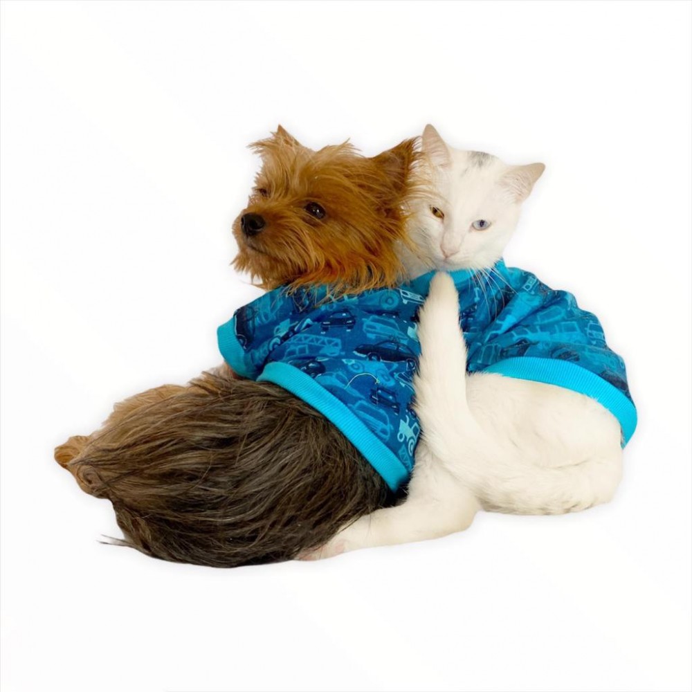 Carmania Oval Yaka Tişört Kedi Kıyafeti Kedi Elbisesi