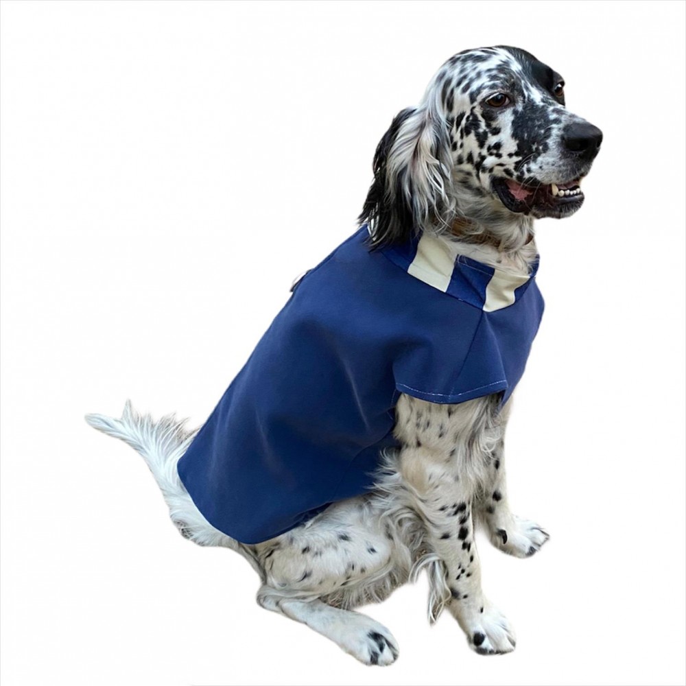 köpek ceketi