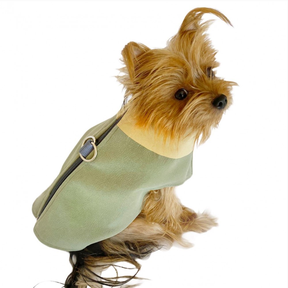 Chamois Su Yeşili Köpekler için Güderi Görünümlü Ceket 