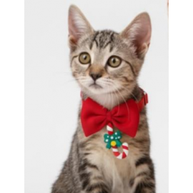 Christmas Candy Yılbaşı Kedi Papyon Tasması | Kırmızı Fiyonk Boyun Aksesuarı | Noel Temalı Kedi Süsü