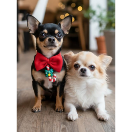 Christmas Candy Yılbaşı Köpek Papyon Tasması | Kırmızı Fiyonk Boyun Aksesuarı | Noel Temalı Köpek Süsü