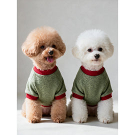 Çilek Tadında Köpek Sweatshirt – Kırmızı Yeşil - Sıcacık