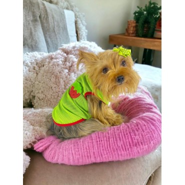 Pink Strawberry Atlet Köpek Kıyafeti  Köpek Elbisesi