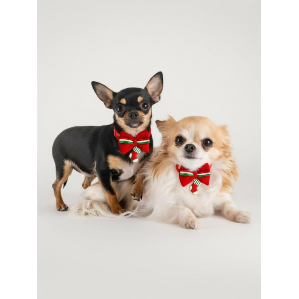 Çorap Xmass Küçük Irk Köpek Papyon Tasması | Kırmızı Fiyonk Boyun Aksesuarı | Noel Temalı Köpek Süsü