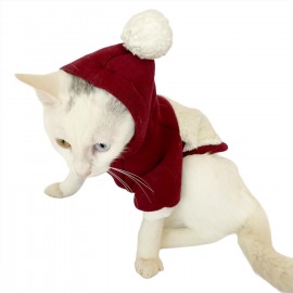 Cream Bordo Sweatshirt Kedi Süeteri Kedi Kıyafeti 