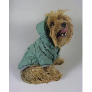 Green Comfy Köpek Montu, Köpek Ceketi, Köpek Dış Giyim