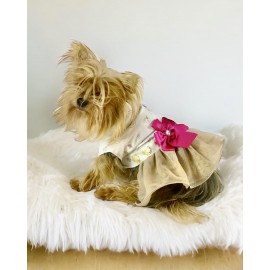 Creamy Fuchia Tütülü Köpek Elbisesi,  Kıyafeti Tutu