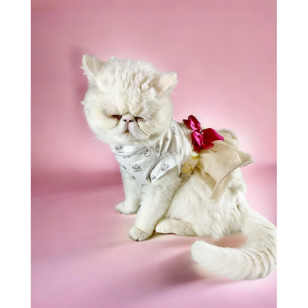 Creamy Fuschia Tütülü Kedi Elbisesi, Kıyafeti Tutu