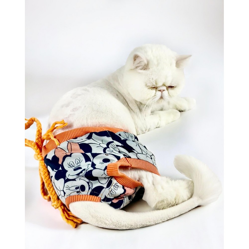 Cute Mickey Kemique's Secret Kedi İç Çamaşırı  Regl Külot  Don
