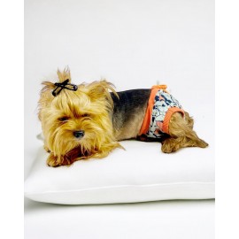 Cute Mickey Kemique's Secret Köpek İç Çamaşırı Regl Külot Don