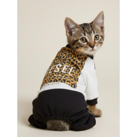 Diesel Leo Kedi Tulumu Kedi Elbisesi