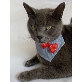 Dinner Date Red Kedi Bandana, Fular, Kedi Kıyafeti Kedi Elbisesi, Kedi Tasması