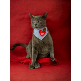 Love You Kedi Bandana, Fular, Kedi Kıyafeti Kedi Elbisesi, Kedi Tasması