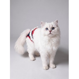 Diva Liva Dişi Kedi Regl Külotu | Don | Kedi İç Çamaşırı | Ayarlanabilir Bağcıklı | Küçük Irklar İçin