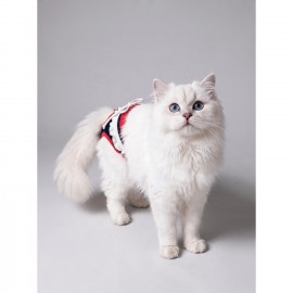 Diva Liva Dişi Kedi Regl Külotu | Don | Kedi İç Çamaşırı | Ayarlanabilir Bağcıklı | Küçük Irklar İçin
