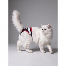 Diva Liva Dişi Kedi Regl Külotu | Don | Kedi İç Çamaşırı | Ayarlanabilir Bağcıklı | Küçük Irklar İçin