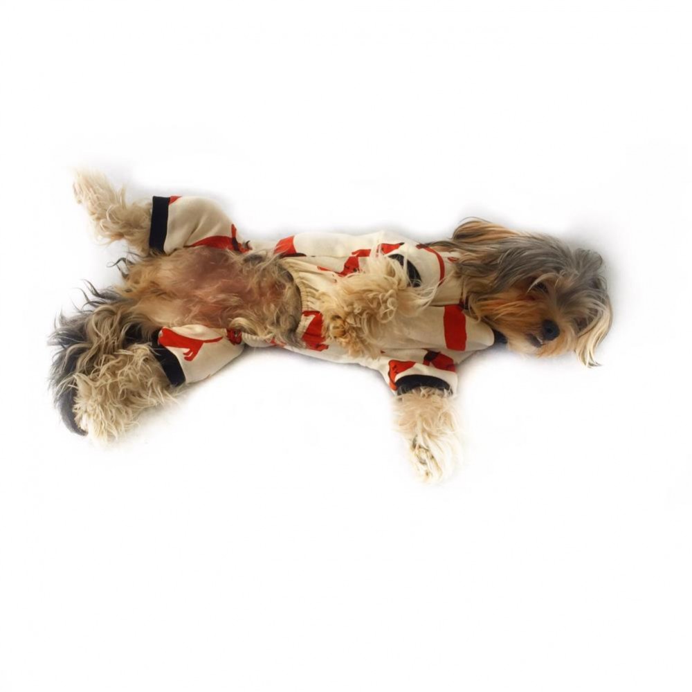 köpek pijaması