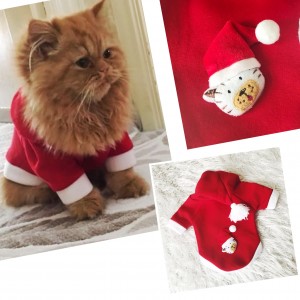 Cat Santa Kapşonlu Polar Noel Yılbaşı Kedi Kıyafeti