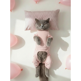 Minimini Kapler Kedi Uyku Seti | Penye Kedi Tulum ve Mini Yastık Takımı | Pamuklu | Tüy Dökülmesini Azaltır | 