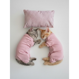 Minimini Kapler Kedi Uyku Seti | Penye Kedi Tulum ve Mini Yastık Takımı | Pamuklu | Tüy Dökülmesini Azaltır | 