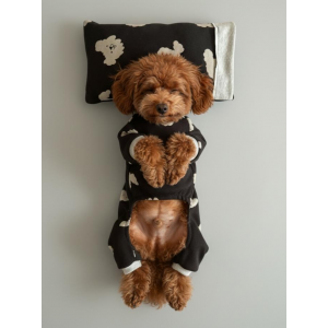 Doggy Köpek Uyku Takımı | Pamuklu Penye Köpek Tulumu ve Mini Yastık | Küçük Irklar İçin | Tüy Dökülmesini Azaltır