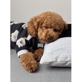 Doggy Köpek Uyku Takımı | Pamuklu Penye Köpek Tulumu ve Mini Yastık | Küçük Irklar İçin | Tüy Dökülmesini Azaltır