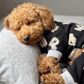 Doggy Köpek Uyku Takımı | Pamuklu Penye Köpek Tulumu ve Mini Yastık | Küçük Irklar İçin | Tüy Dökülmesini Azaltır