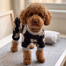 Doggy Köpek Uyku Takımı | Pamuklu Penye Köpek Tulumu ve Mini Yastık | Küçük Irklar İçin | Tüy Dökülmesini Azaltır