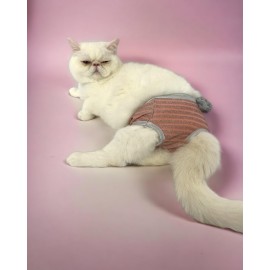 Pink Shine Kemique's Secret Kedi İç Çamaşırı  Regl Külot  Don