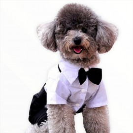 Tuxedo Smokin Köpek Kıyafeti Damatlık