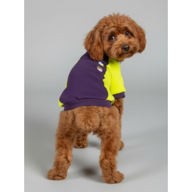 Dondurmalı Patiler Polar Sweatshirt - Ufak Irk Köpekler İçin