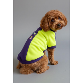 Dondurmalı Patiler Polar Sweatshirt - Ufak Irk Köpekler İçin