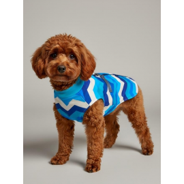 Surf Rain Küçük Köpek Yağmurluk Ceket