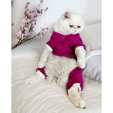 Foxie Polar Kedi Tulum Pijama