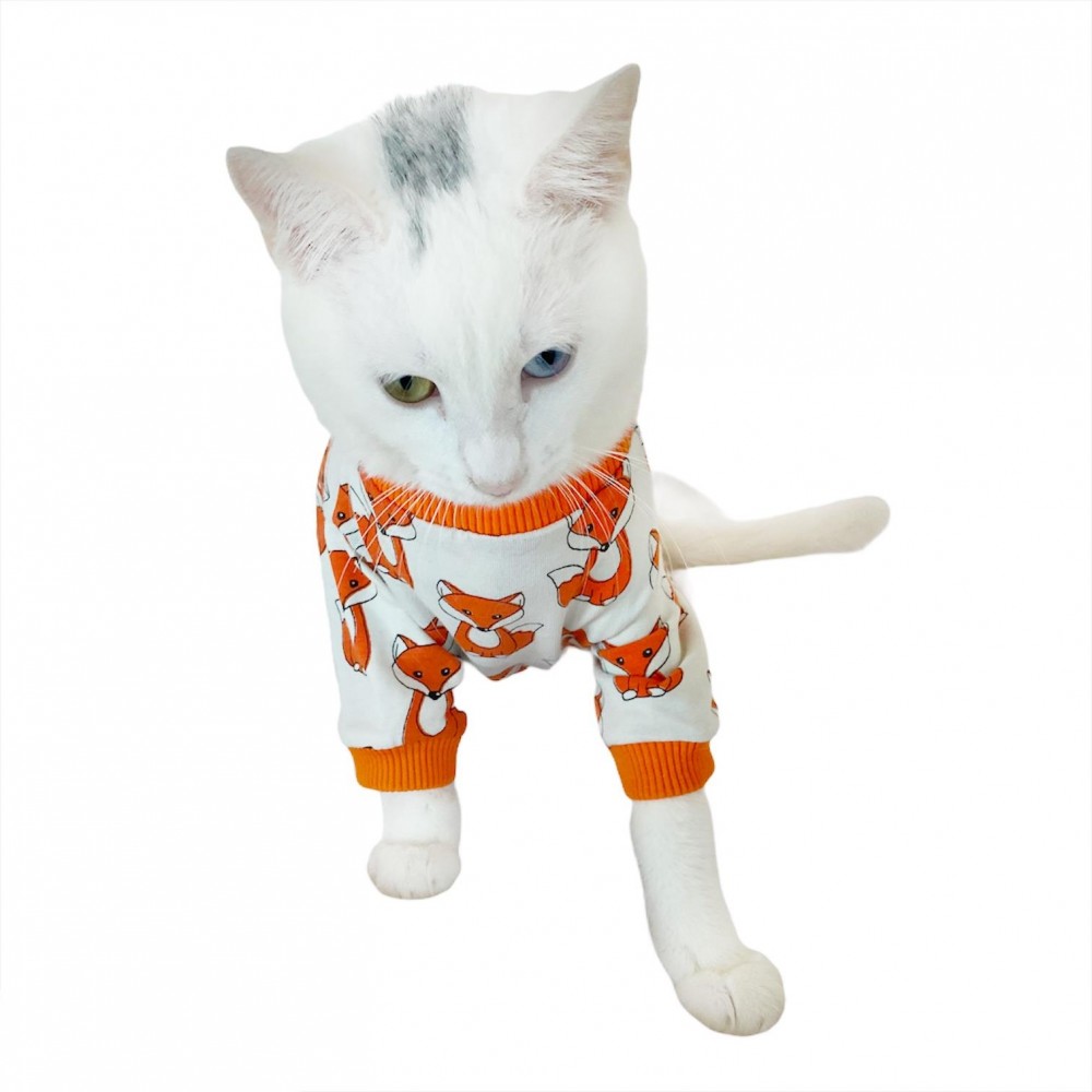 Foxy Penye Tulum Kedi Tulumu Kedi Elbisesi