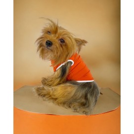 Basic Orange Atlet Köpek Kıyafeti  Köpek Elbisesi