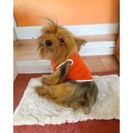 Basic Orange Atlet Köpek Kıyafeti  Köpek Elbisesi