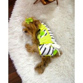Lime Fuzz Tişört ve İç Çamaşırı Set Köpek Kıyafeti Köpek Kostümü