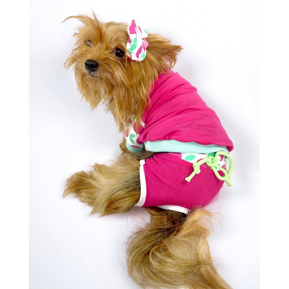 Fruit Party Tişört ve İç Çamaşırı Set Köpek Kıyafeti Köpek Kostümü