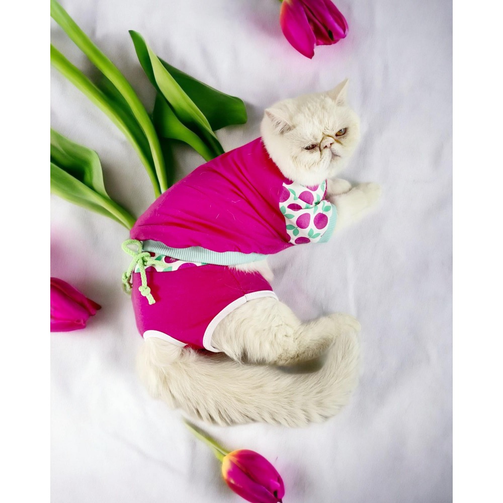 Fruit Party Tişört ve İç Çamaşırı Set Kedi Kıyafeti Kedi Kostümü
