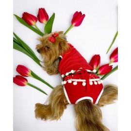 Frilly Pop Tişört ve İç Çamaşırı Set Köpek Kıyafeti Köpek Kostümü