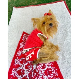 Frilly Pop Tişört ve İç Çamaşırı Set Köpek Kıyafeti Köpek Kostümü