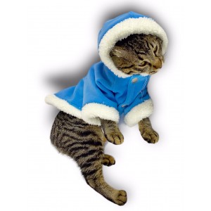 Blue Furry Kapşonlu Sweatshirt Ceket Kedi Süeteri Kıyafeti 