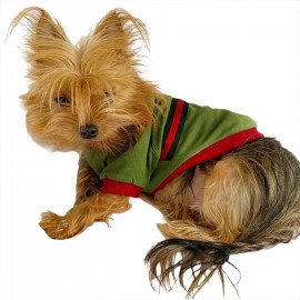 Gc Max Oval Yaka Tişört Köpek Kıyafeti Köpek Elbisesi