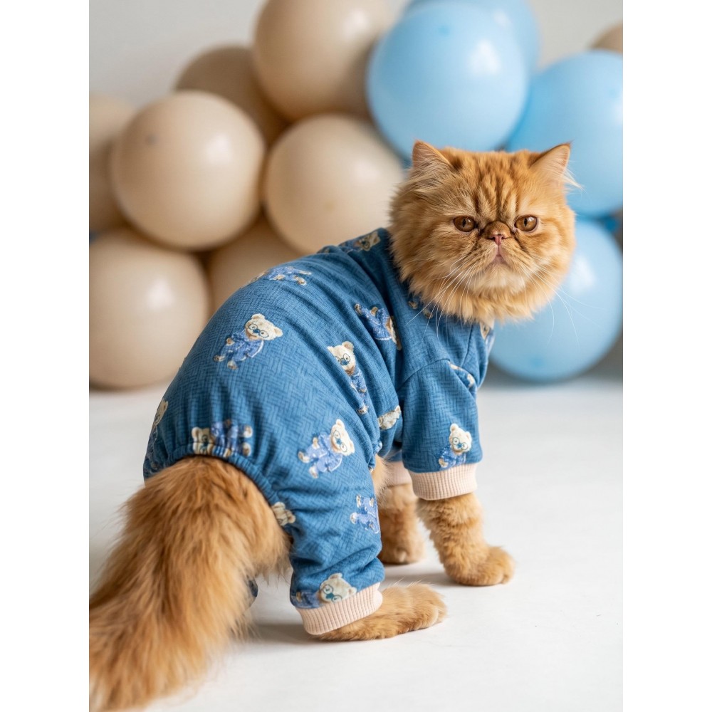 Teddy Blues Penye Kedi Tulumu | Ayıcık Desenli Kedi Pijaması | Küçük Irklar İçin