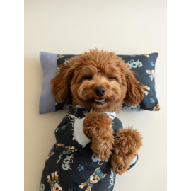 GoodPaws Lacivert Uyku Takımı | Pamuklu Penye Köpek Tulumu ve Mini Yastık | Küçük Irklar İçin | Tüy Dökülmesini Azaltır